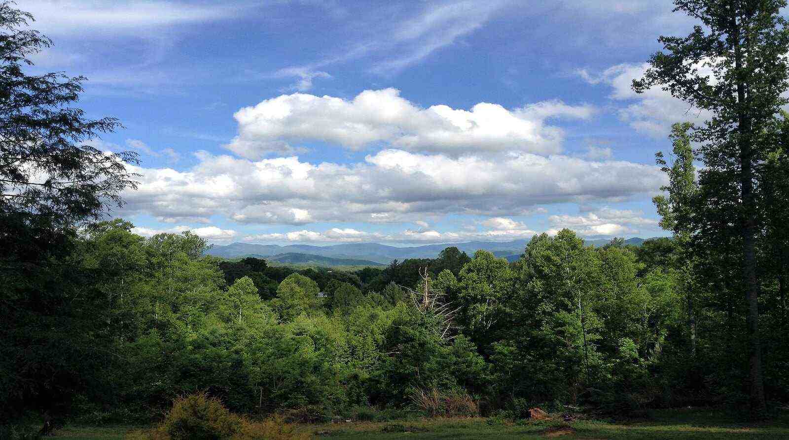 Rutherford NC CD Home Banner Image 4